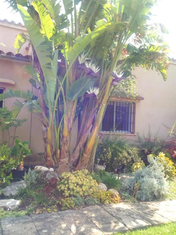 Arthouse Campos Mit Haus Galeria 110Qm Und Appartementhaus Mit Patio 30Qm Ngoại thất bức ảnh