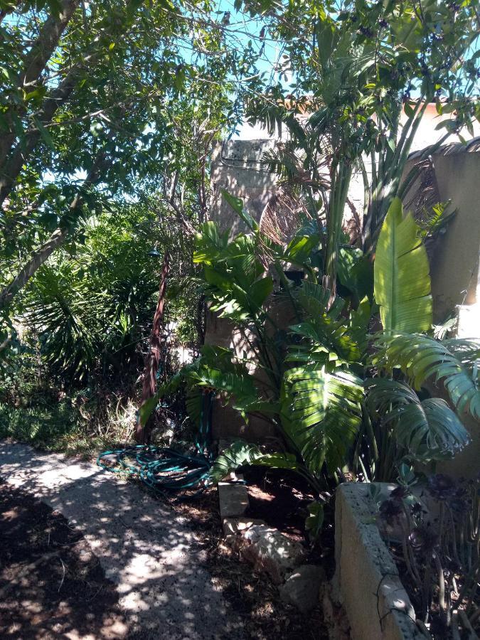 Arthouse Campos Mit Haus Galeria 110Qm Und Appartementhaus Mit Patio 30Qm Ngoại thất bức ảnh